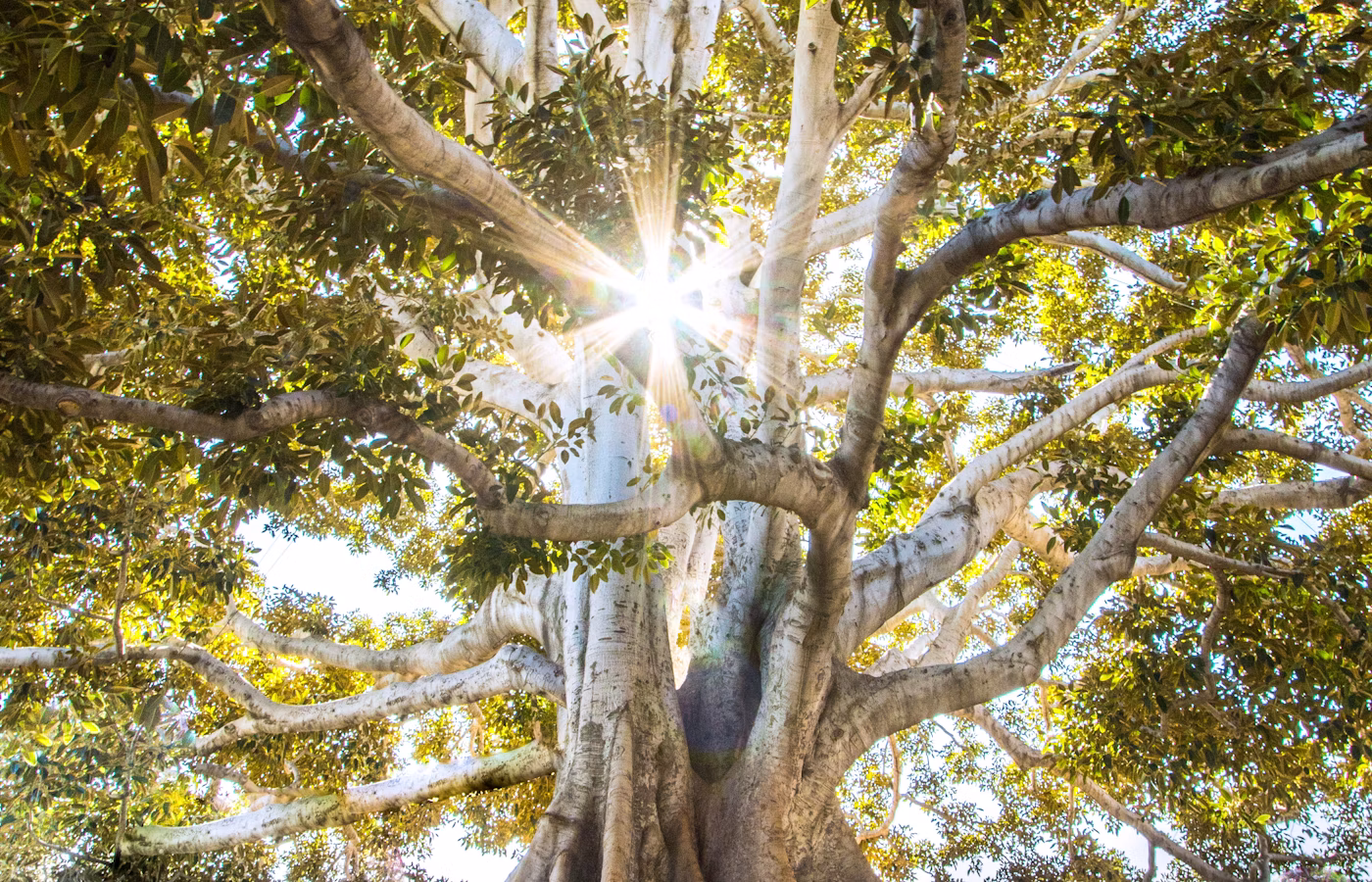 Осознанное дыхание онлайн в Пермь